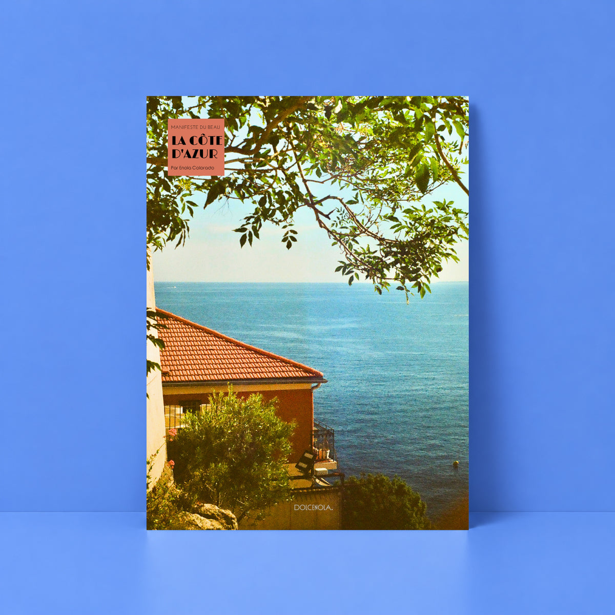 Affiche Photo Hôtel Suisse