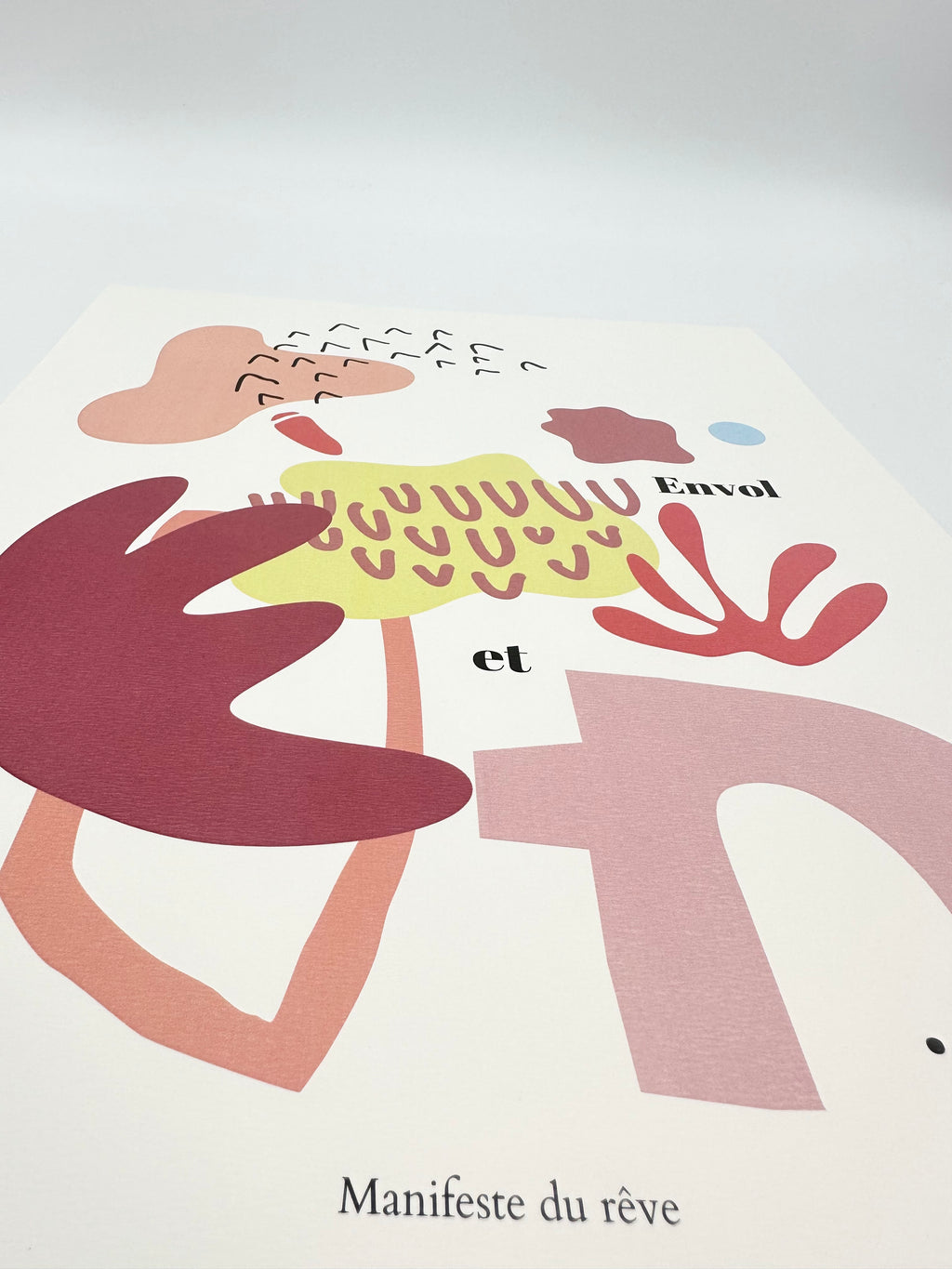 Affiche Envol